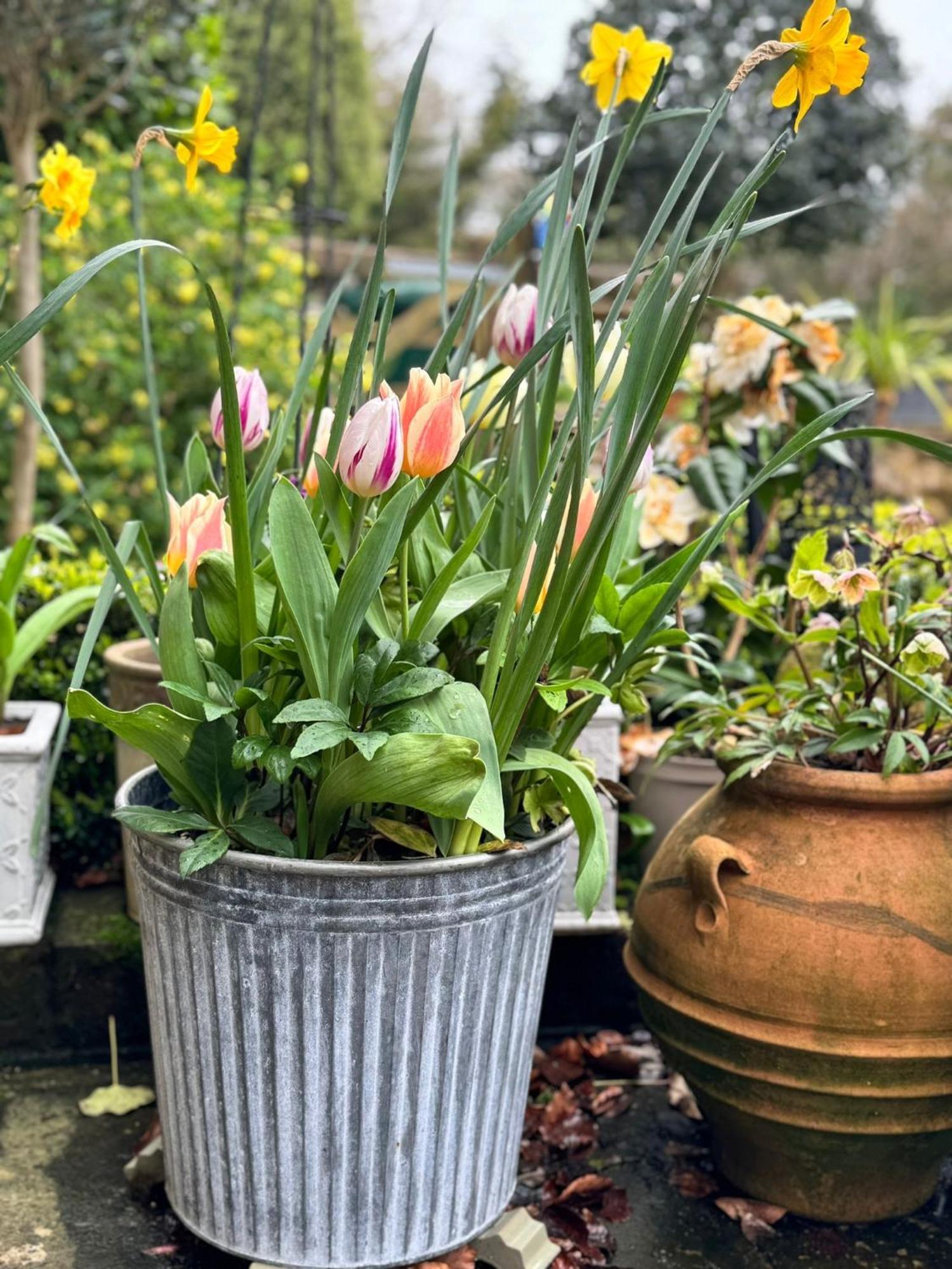 'Bramley Fall Cottage' ' On Site Ev Point - Attached Cottage,3 Separate Bedrooms -1 On Ground Level, Sleeps 6, 2 Bathrooms, Sandy Wittering Beach 8Min Drive, Rural Location, Child Friendly, Small Breed Dog Friendly, Private Parking Чичестер Экстерьер фото